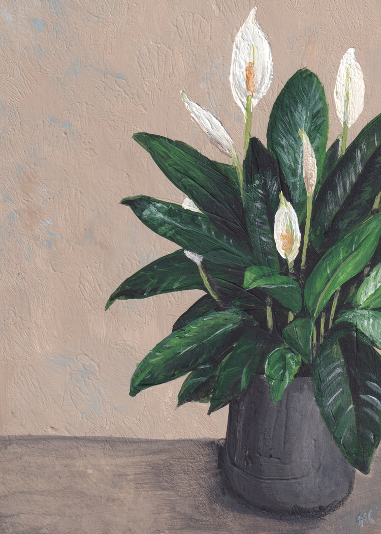 5x7 Print: Peace Lily