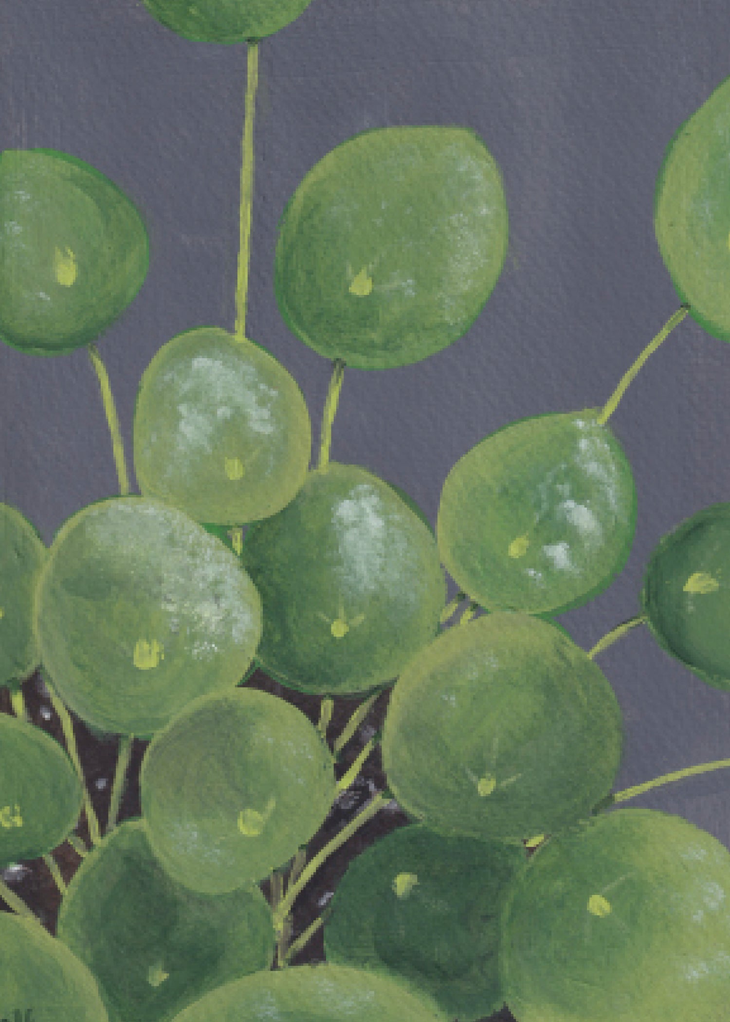 5x7 Plant Prints