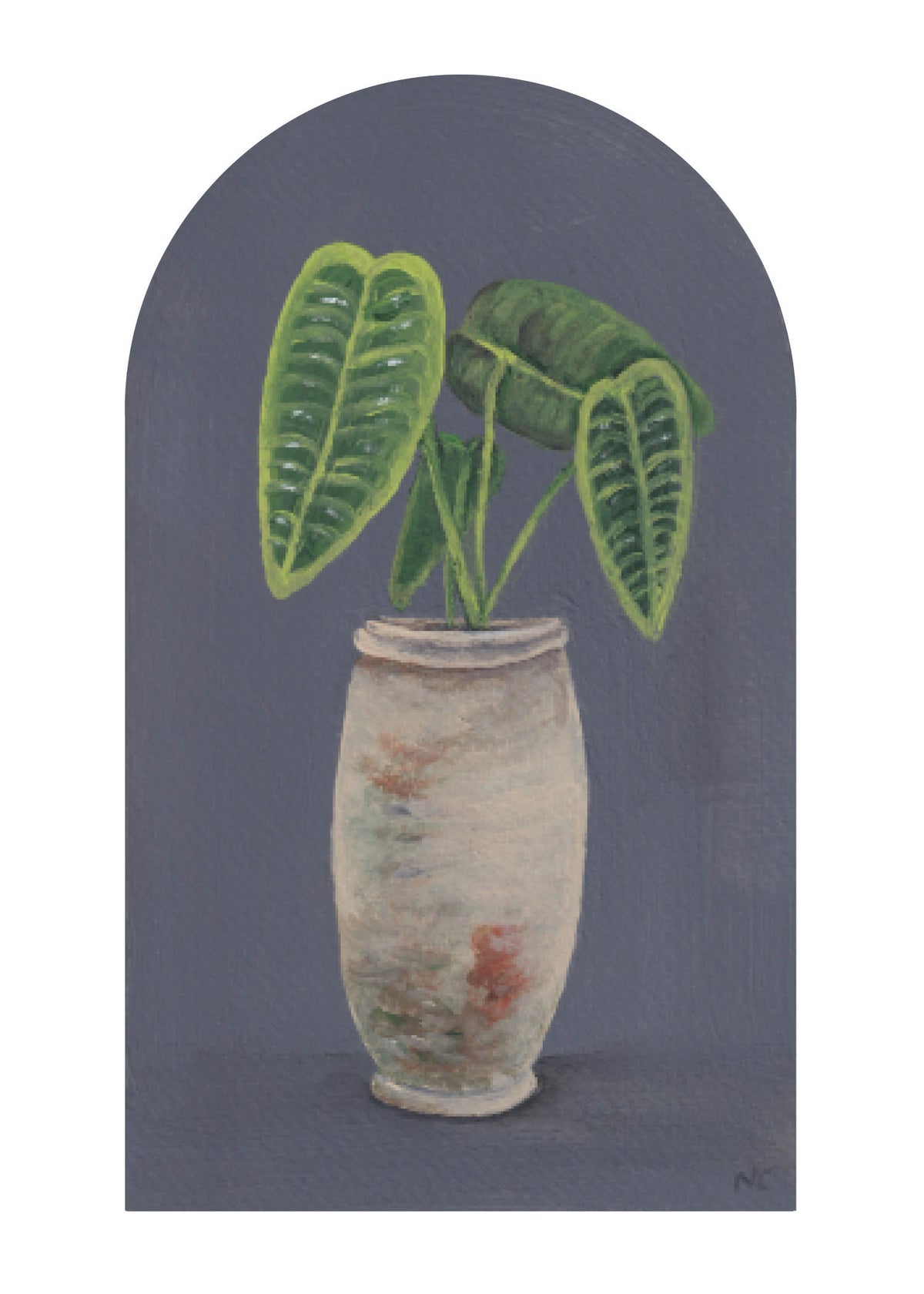 5x7 Print: Philodendron