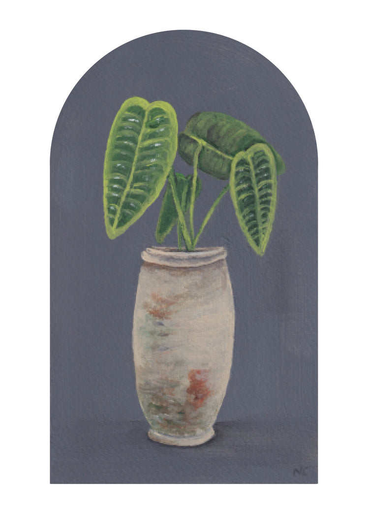 5x7 Print: Philodendron