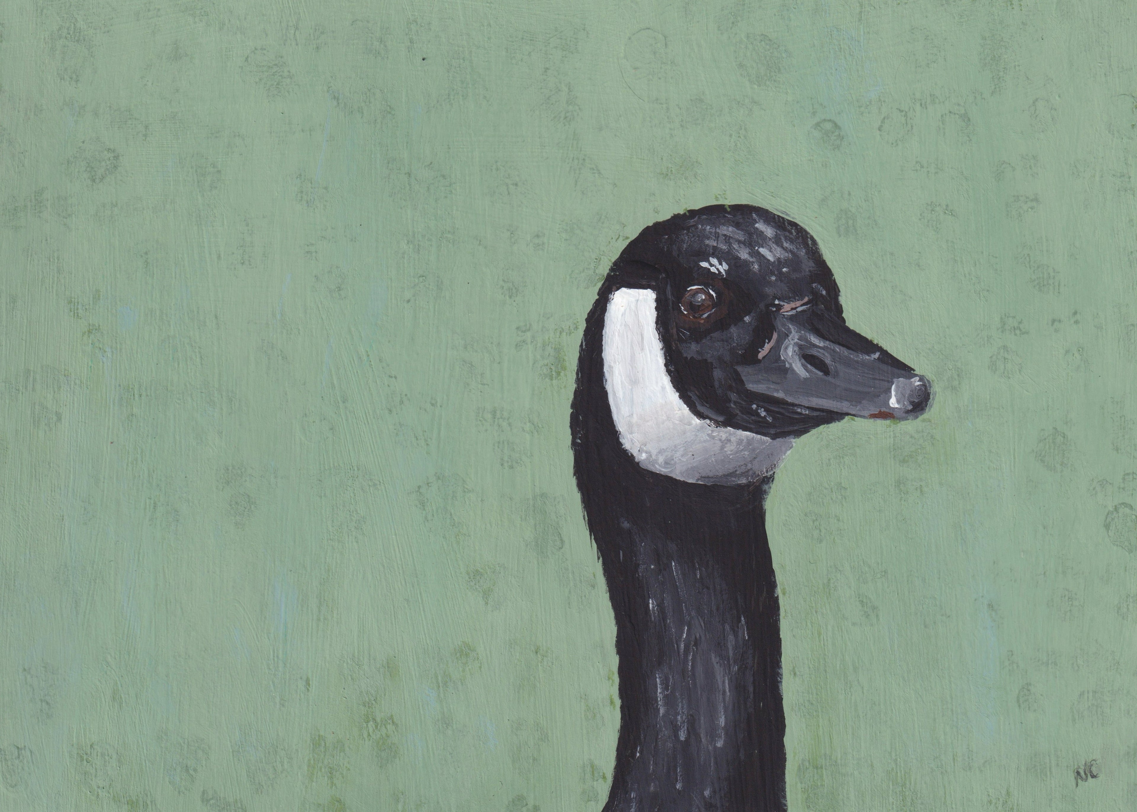 Print: Canadian Goose