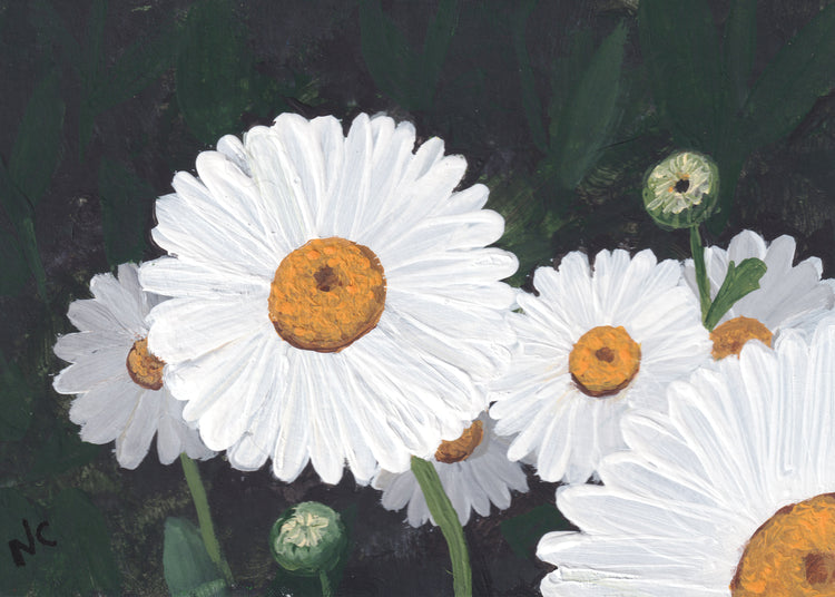 5x7 Print: Daisies