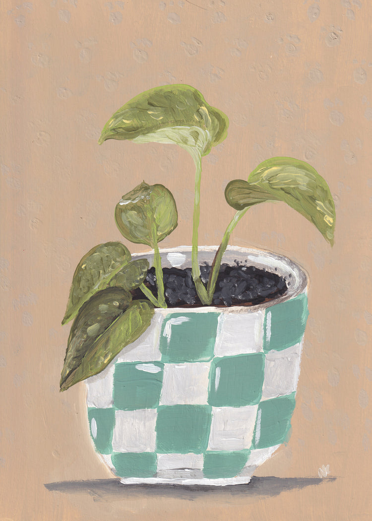 5x7 Print: Checkered Plant