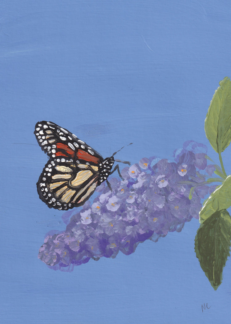 5x7 Print: Monarch