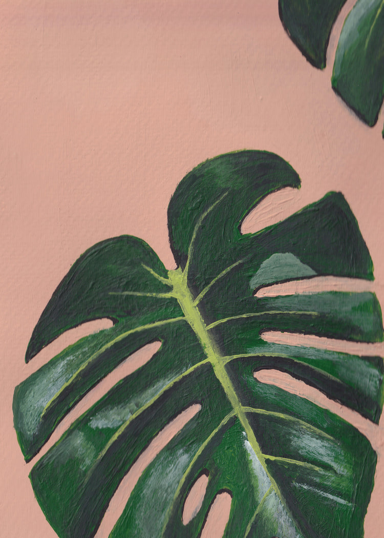 5x7 Print: Monstera Pink