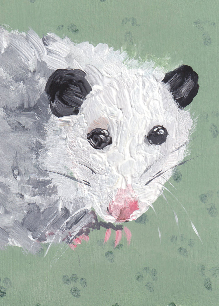 5x7 Print: Opossum Dolly