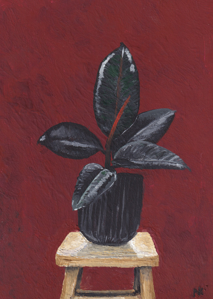 5x7 Print: Rubber Tree