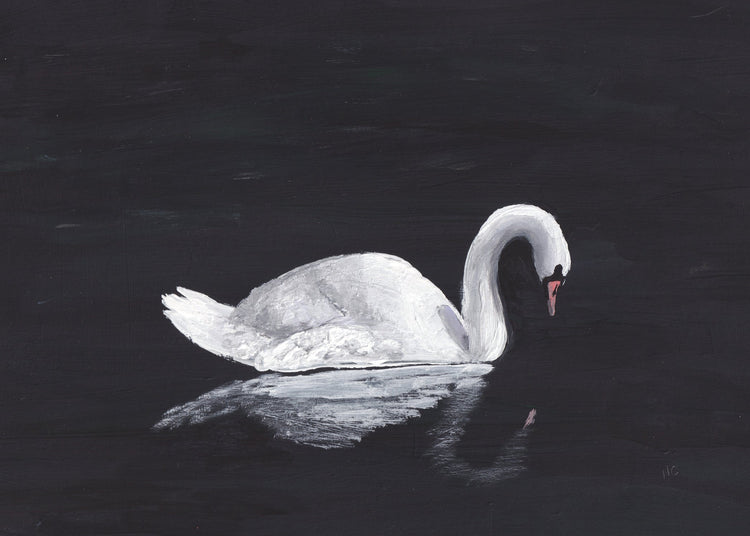 5x7 Print: Swan