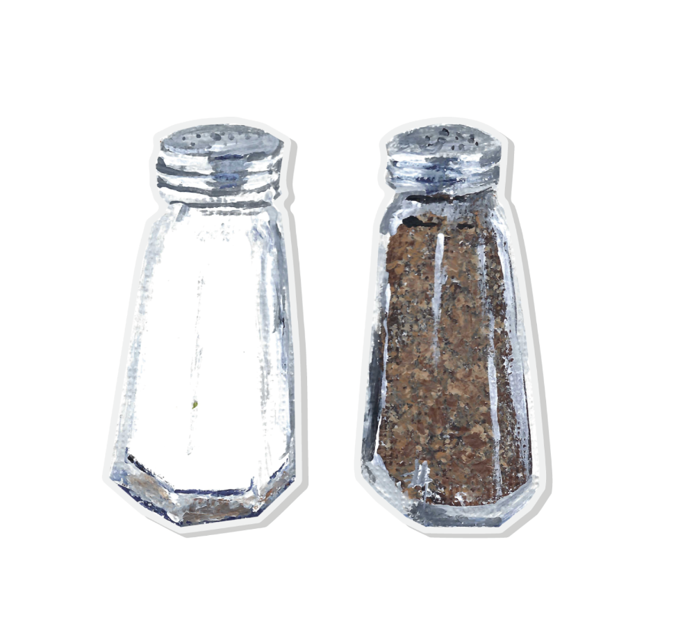 Magnet: Salt and Pepper Shakers