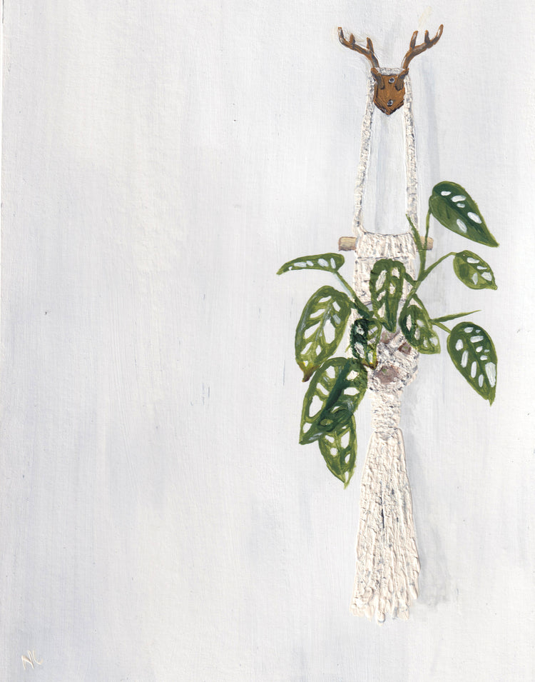 5x7 Print: Hanging Monstera
